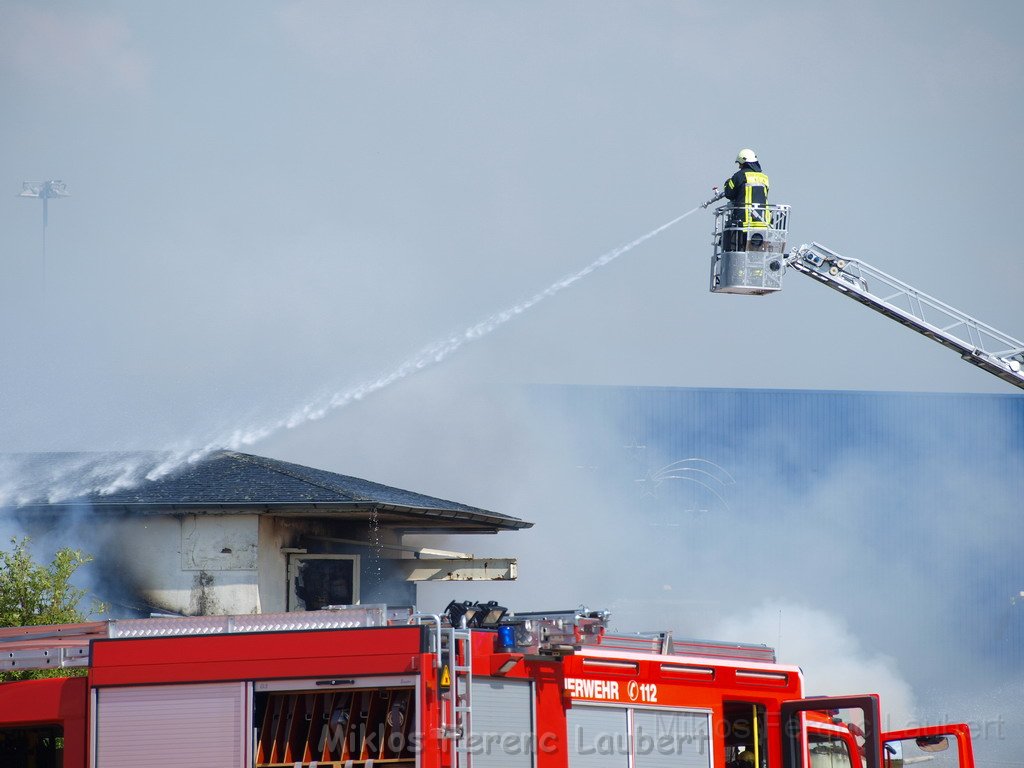 Feuer Koeln Ossendorf Butzweiler Hof neben IKEA P154.JPG